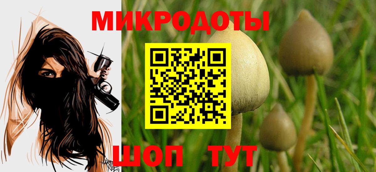 Псилоцибиновые грибы мухоморы Ревда